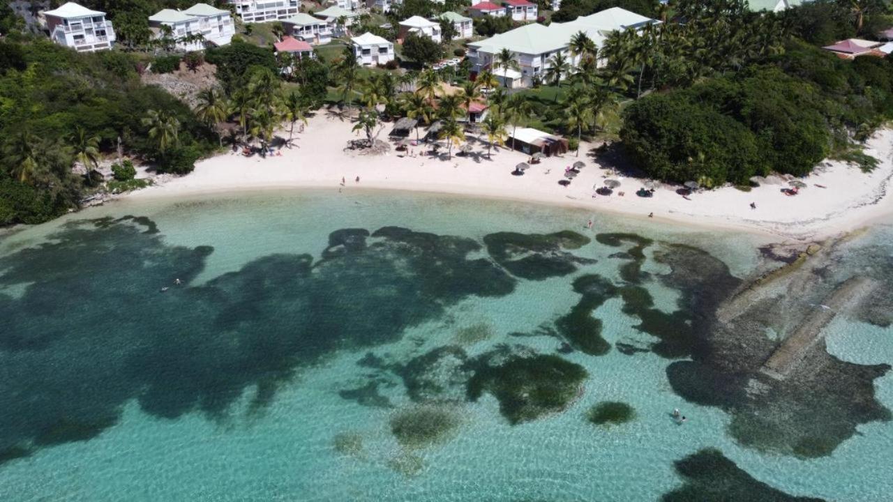 Chaleureux Studio 4 Personnes - Residence Anse Des Rochers - " Les Alizes Du Soir " Tout Equipe Et Citerne D'Eau Сен Франсоа Екстериор снимка
